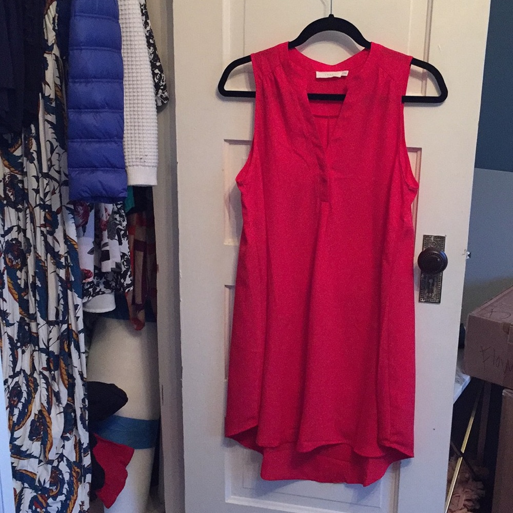 Lush bright pink dress. Size medium.